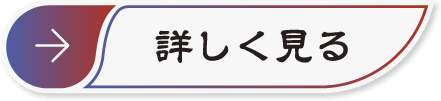詳しく見る