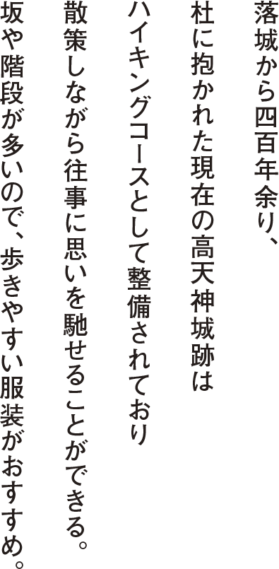 落城から四百年余り、木々に包まれた現在の高天神城跡はハイキングコースとして整備されており散策しながら往事に思いを馳せることができる。坂や階段が多いので歩きやすい服装がおすすめ。